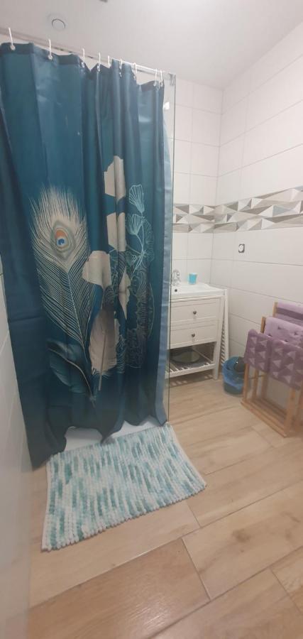 לינה וארוחת בוקר Saint-Aignan  Ty Coeur Breizh מראה חיצוני תמונה
